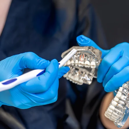 Пластинка с петлей для диастемы, два кламера Адамса